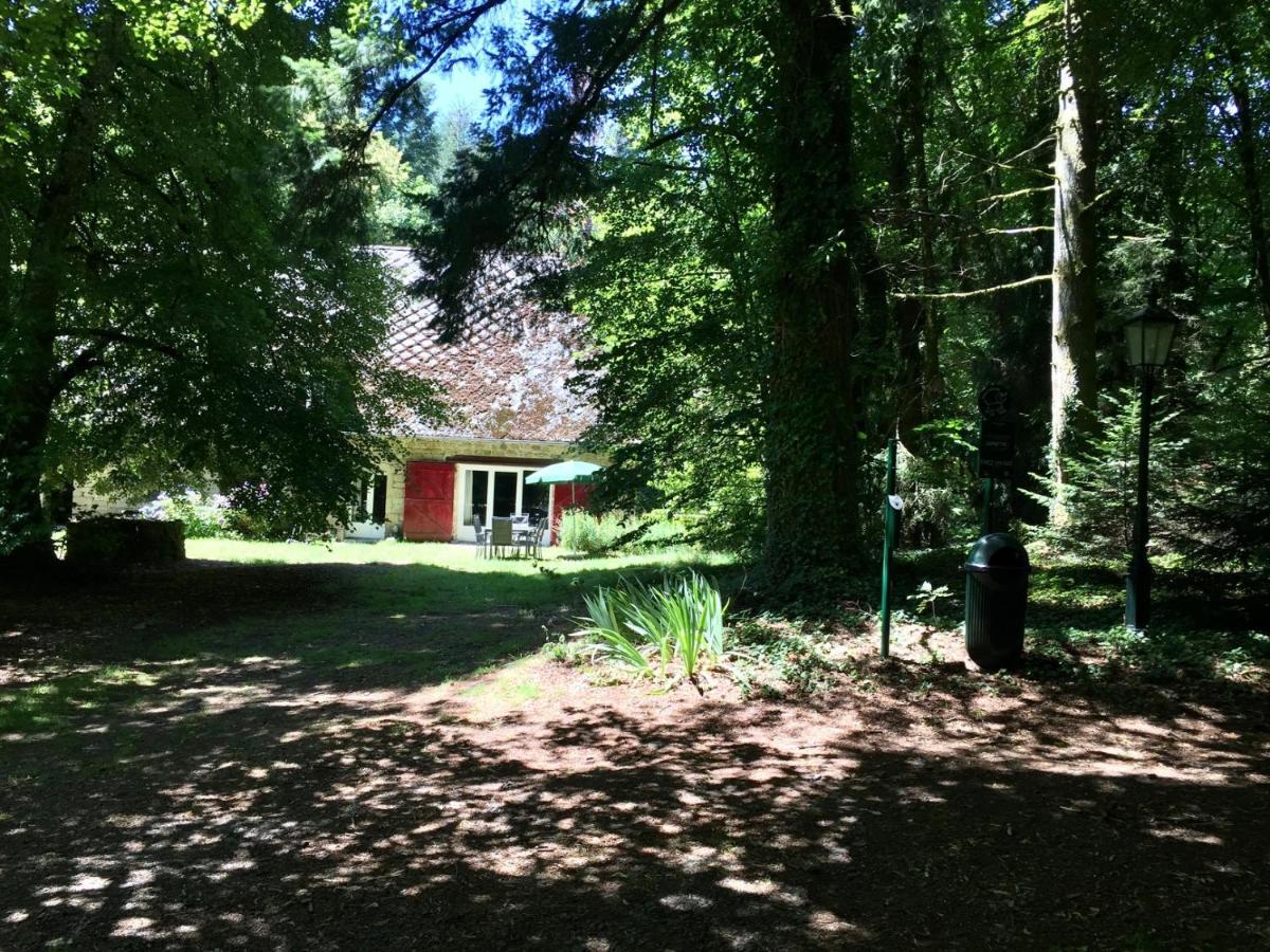 Gites Chateau Le Bois Saint-Julien-aux-Bois 외부 사진
